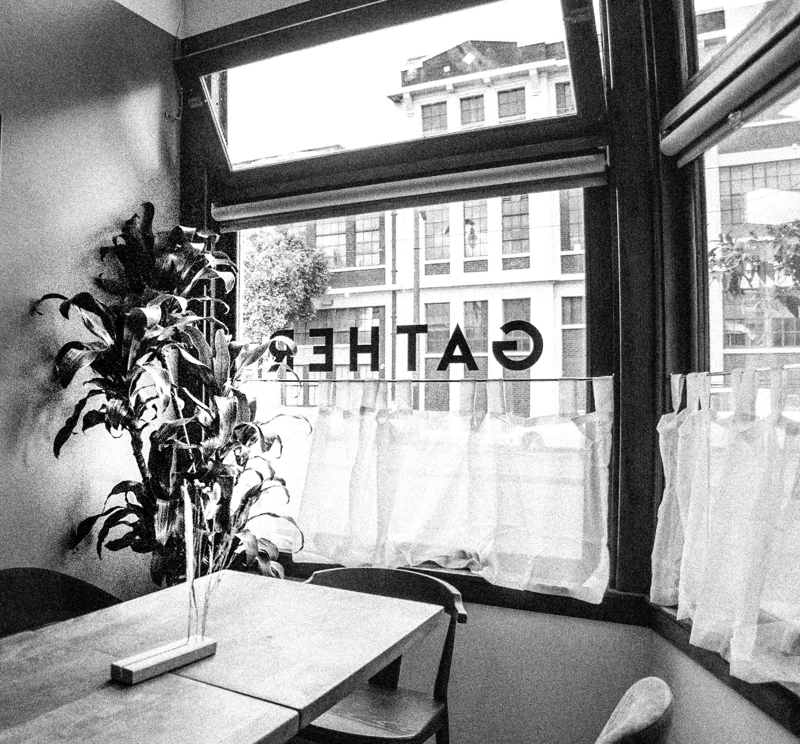 "By Choice We Gather"